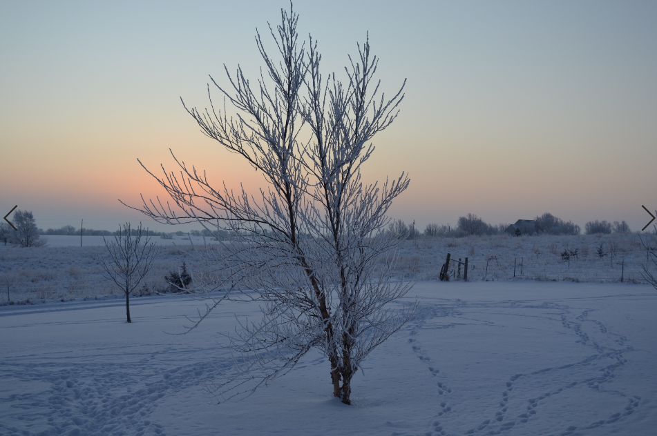 Cold Winter Day